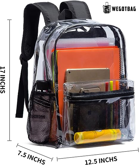 Transparent Backpack